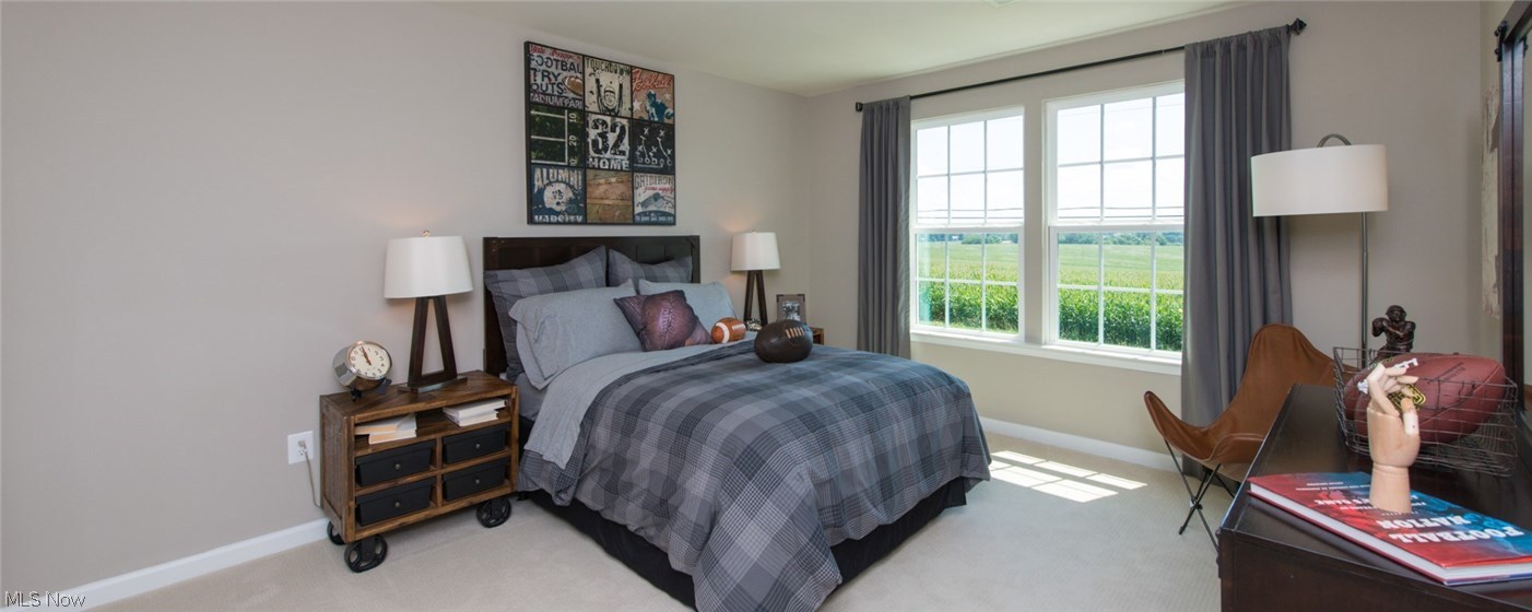 Palmer Village - Residential