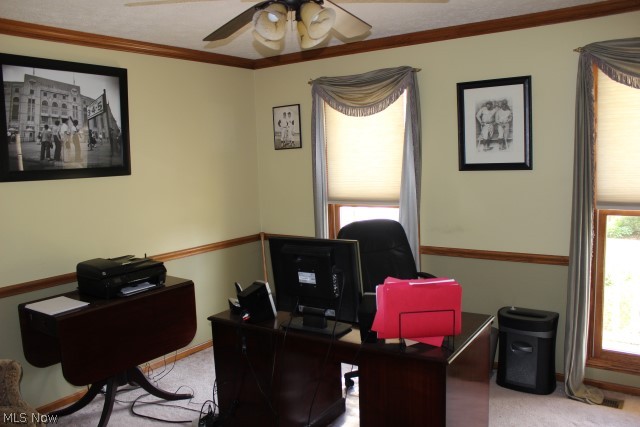 Village At Meadow Wood - Residential