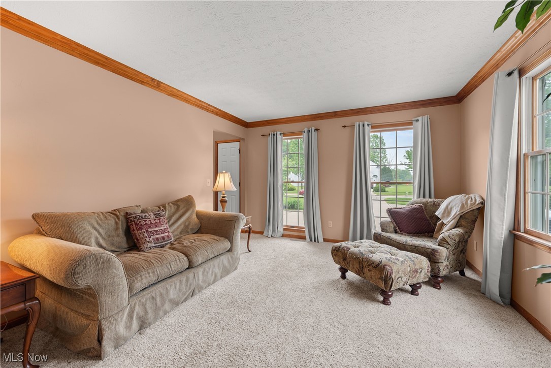 8373 Forest View Drive, Olmsted Falls, Ohio image 17