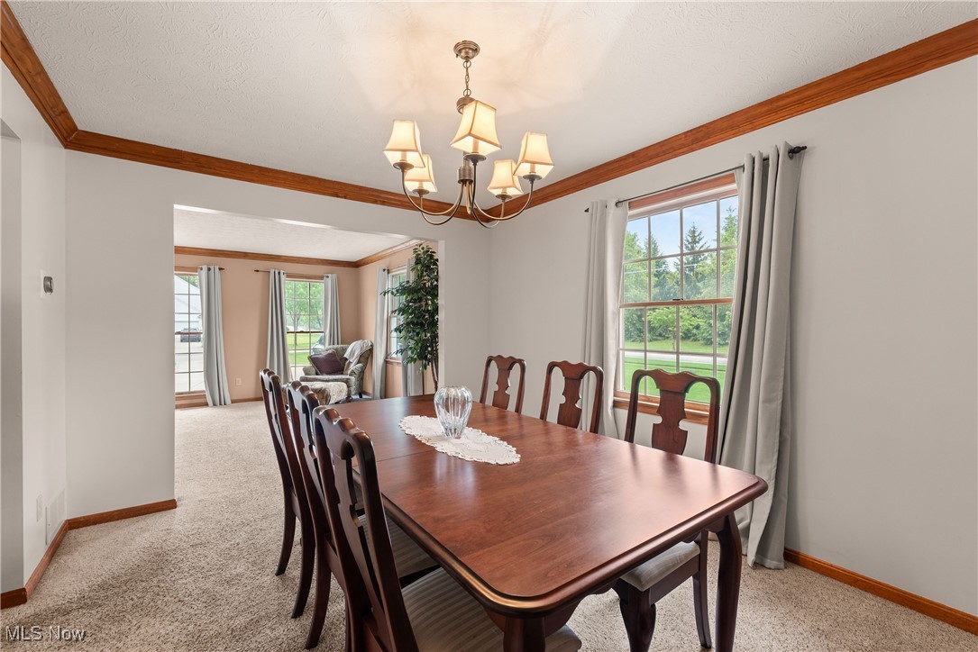 8373 Forest View Drive, Olmsted Falls, Ohio image 27