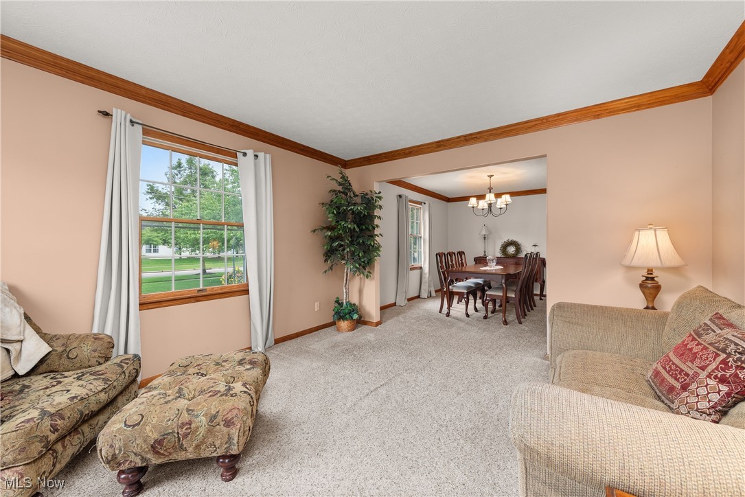 8373 Forest View Drive, Olmsted Falls, Ohio image 18