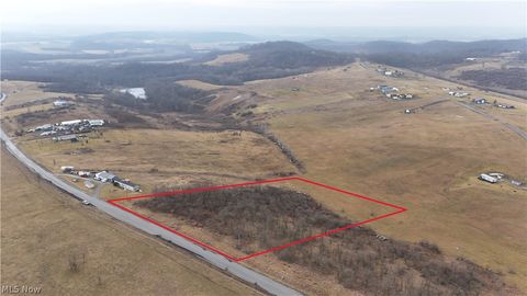 Vacant Land For Sale - 20451 Cr 410<br/> Newcomerstown, OH 43832