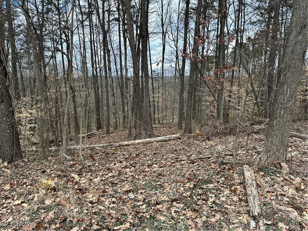 Fisher Ridge Road, Fleming, Ohio image 5