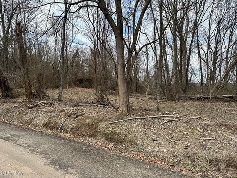 Vacant Land For Sale - Fisher Ridge Road<br/> Fleming, OH 45729