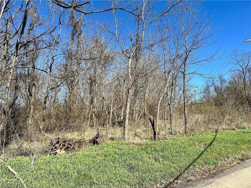 Fisher Ridge Road, Fleming, Ohio image 7