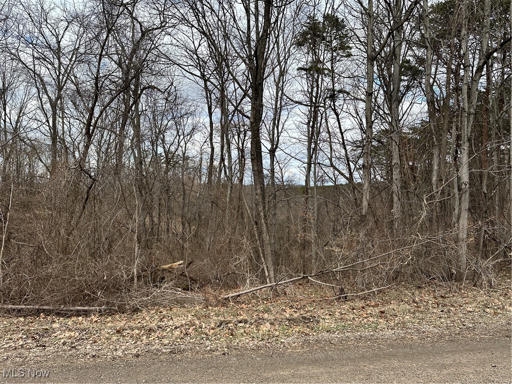Fisher Ridge Road, Fleming, Ohio image 3