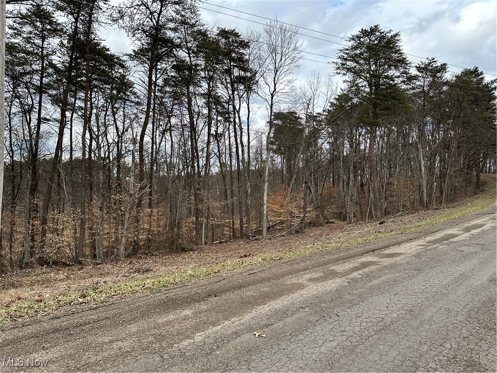 Fisher Ridge Road, Fleming, Ohio image 4