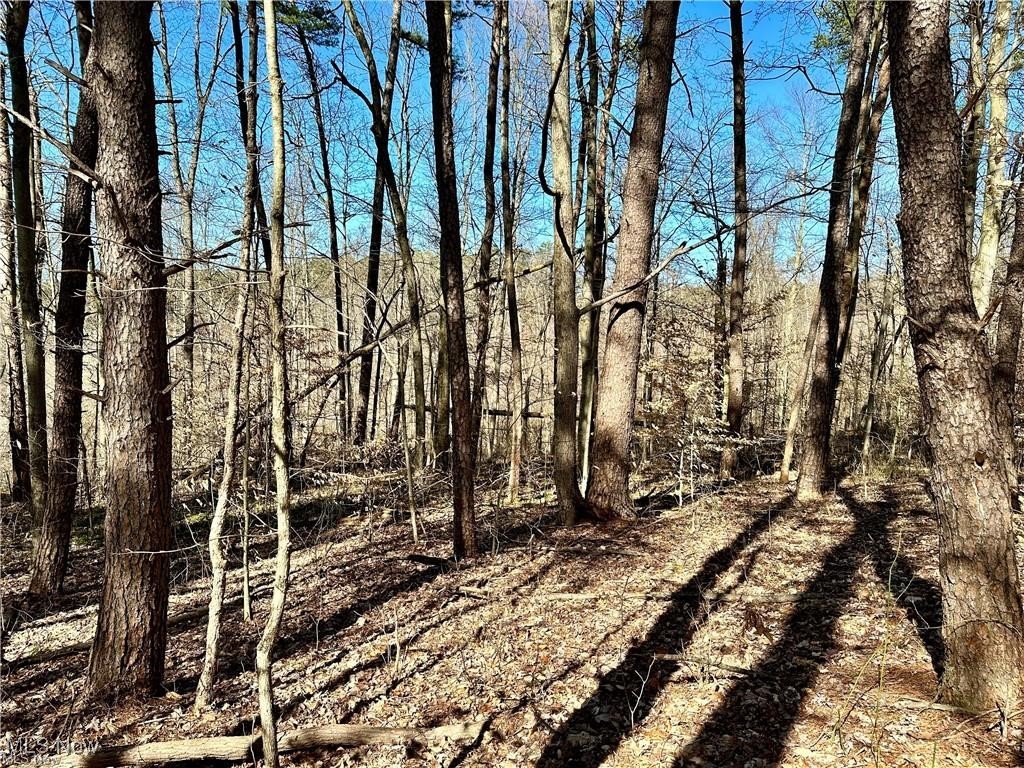 Fisher Ridge Road, Fleming, Ohio image 6