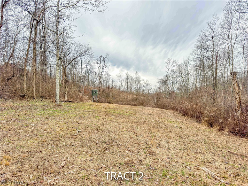 44502 Whippoorwill Rd, Clarington, Ohio image 33