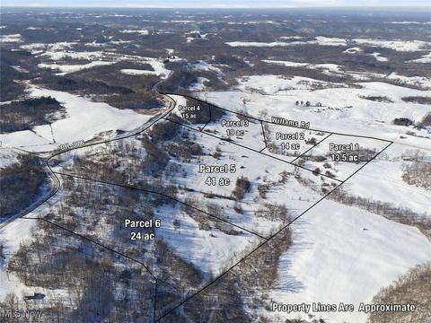 Vacant Land For Sale - PARCEL 5 State Route 376<br/> Mcconnelsville, OH 43787