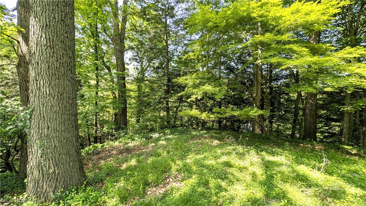 1628 Squaw Court, Girard, Ohio image 41