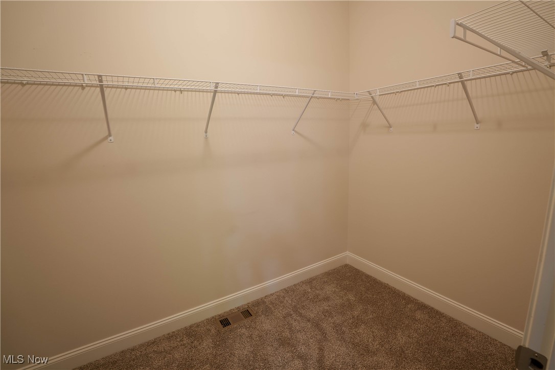 6696 Amber Way, North Ridgeville, Ohio image 10