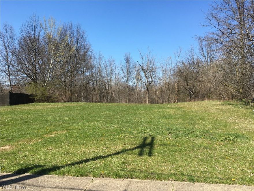 .5 acres of Vacant Land in Ravenna City Lot! Don't miss out!!