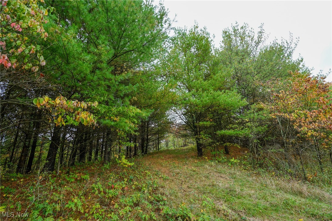 Boy Scout Camp Rd, Caldwell, Ohio image 6