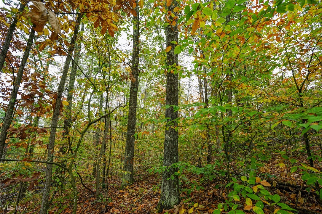 Boy Scout Camp Rd, Caldwell, Ohio image 4