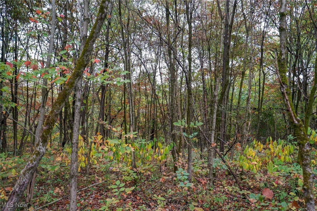 Boy Scout Camp Rd, Caldwell, Ohio image 16