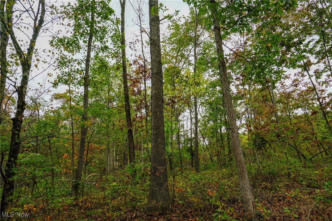 Boy Scout Camp Rd, Caldwell, Ohio image 9