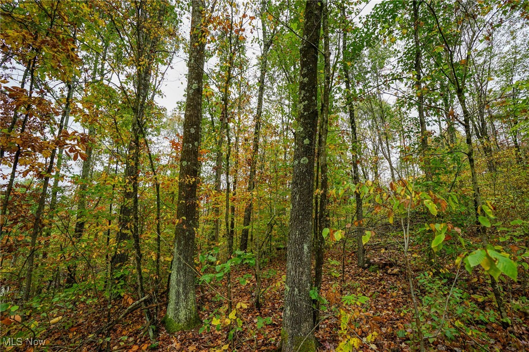 Boy Scout Camp Rd, Caldwell, Ohio image 2