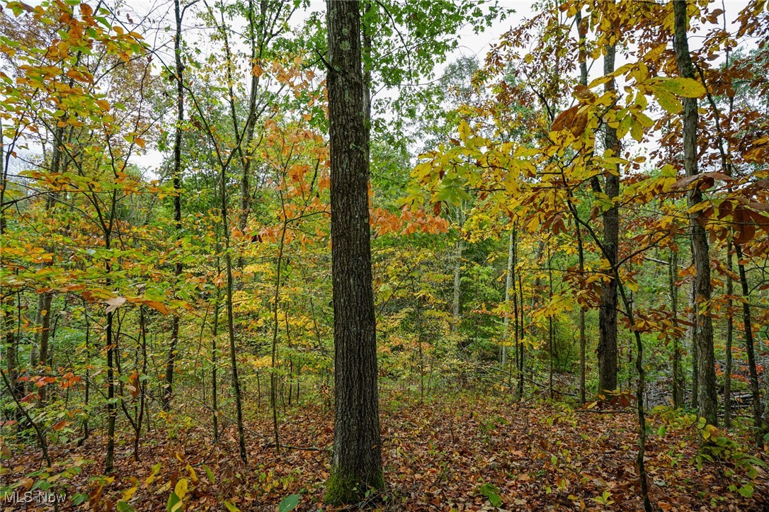 Boy Scout Camp Rd, Caldwell, Ohio image 3