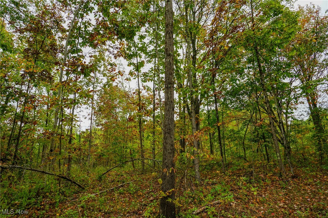 Boy Scout Camp Rd, Caldwell, Ohio image 10