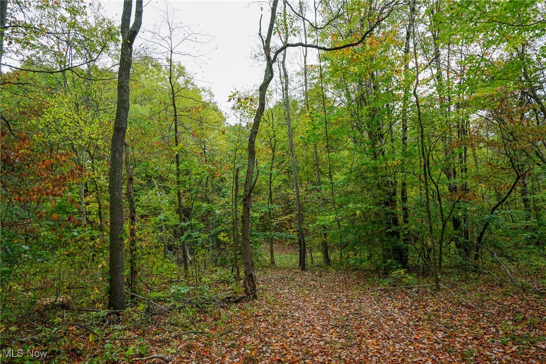 Boy Scout Camp Rd, Caldwell, Ohio image 12