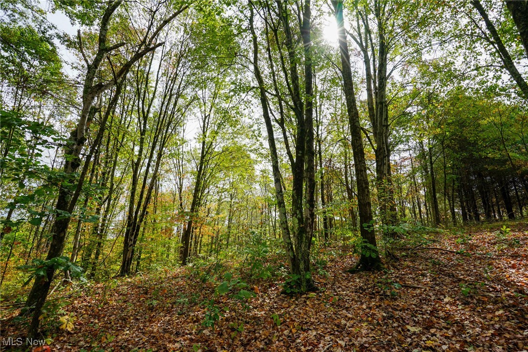 Boy Scout Camp Rd, Caldwell, Ohio image 26