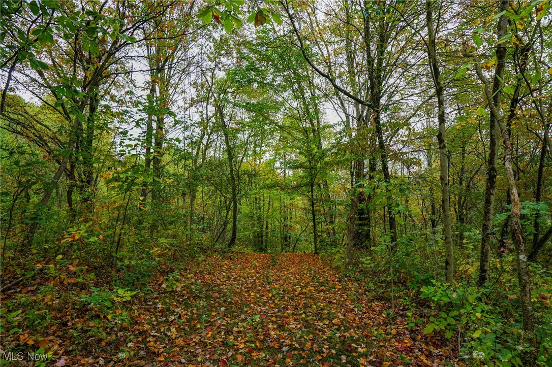 Boy Scout Camp Rd, Caldwell, Ohio image 11