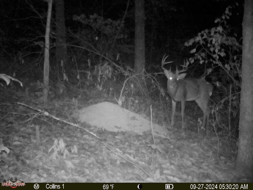 Boy Scout Camp Rd, Caldwell, Ohio image 28