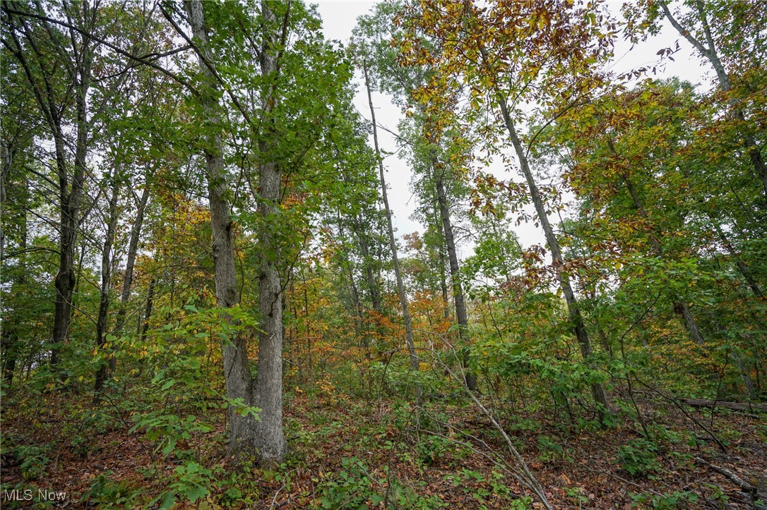 Boy Scout Camp Rd, Caldwell, Ohio image 14