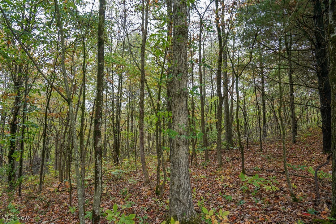 Boy Scout Camp Rd, Caldwell, Ohio image 5