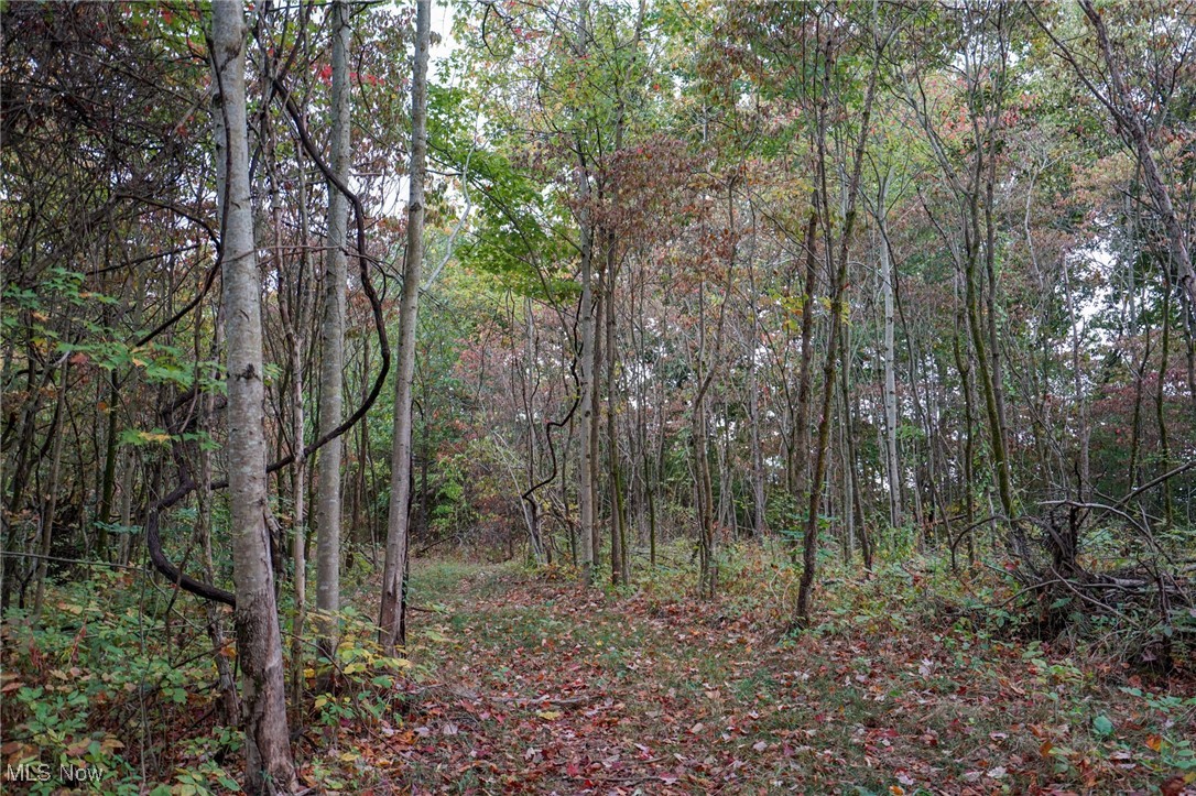 Boy Scout Camp Rd, Caldwell, Ohio image 15