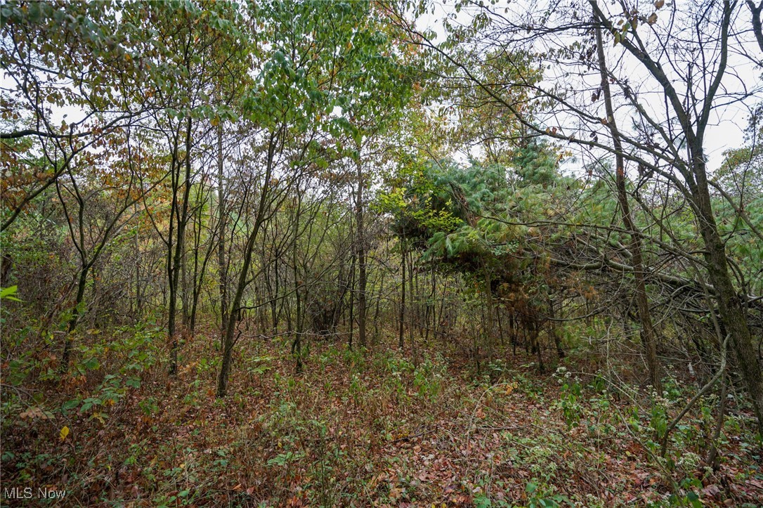 Boy Scout Camp Rd, Caldwell, Ohio image 21