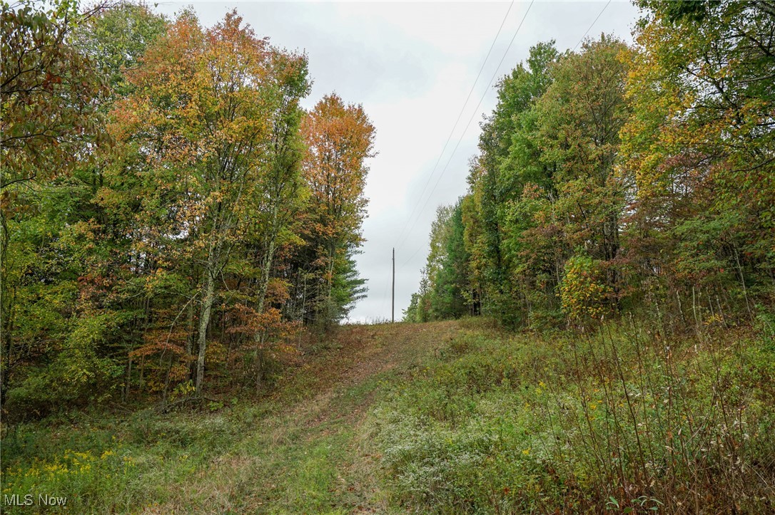 Boy Scout Camp Rd, Caldwell, Ohio image 8