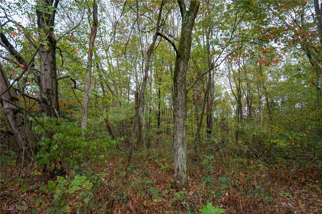 Boy Scout Camp Rd, Caldwell, Ohio image 18