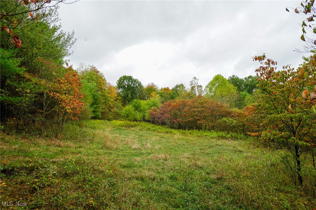 Boy Scout Camp Rd, Caldwell, Ohio image 1