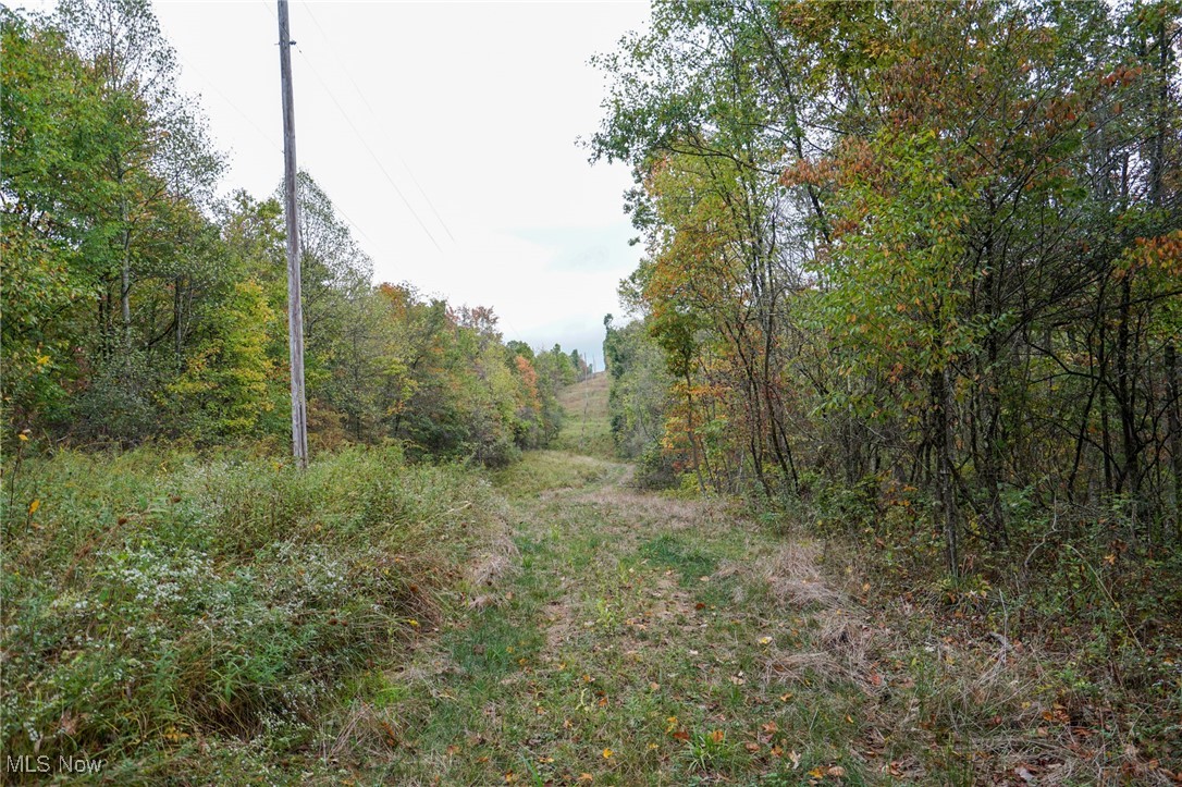 Boy Scout Camp Rd, Caldwell, Ohio image 7