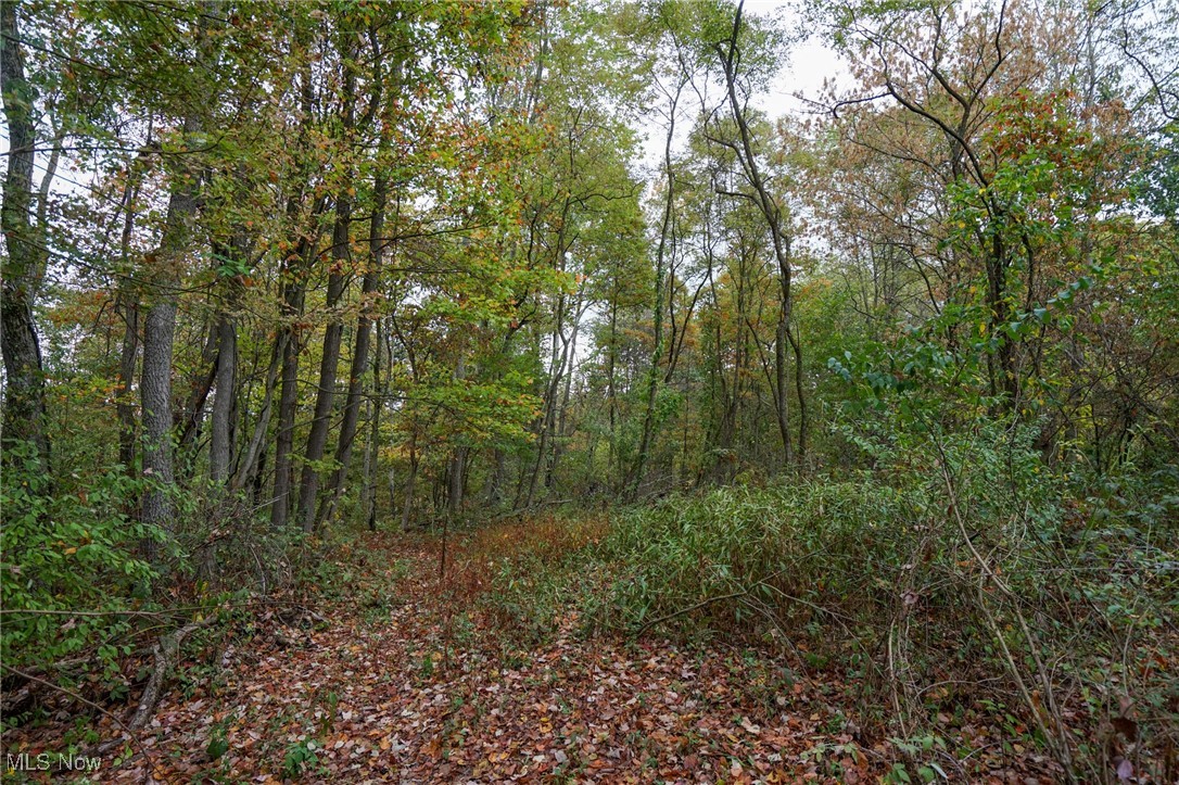 Boy Scout Camp Rd, Caldwell, Ohio image 19