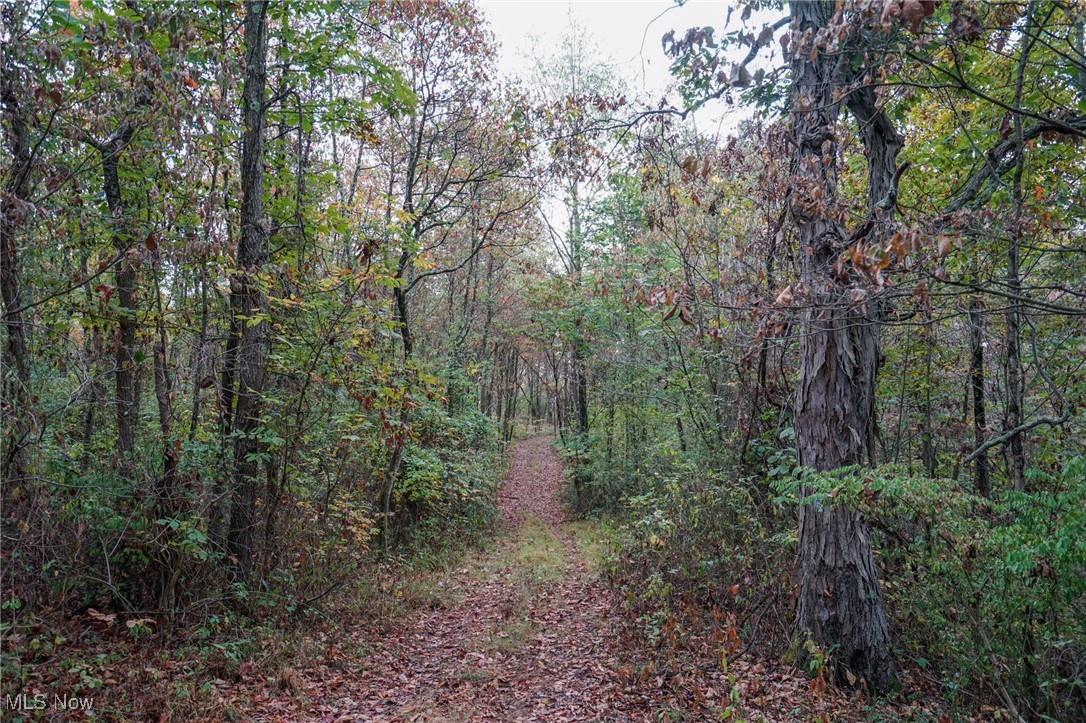 Boy Scout Camp Rd, Caldwell, Ohio image 24