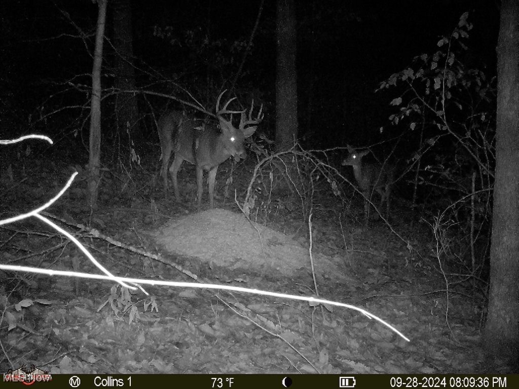 Boy Scout Camp Rd, Caldwell, Ohio image 29