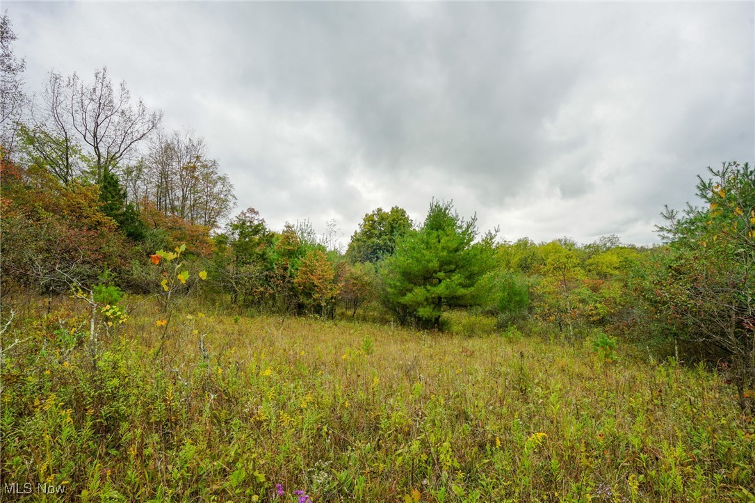 Boy Scout Camp Rd, Caldwell, Ohio image 23