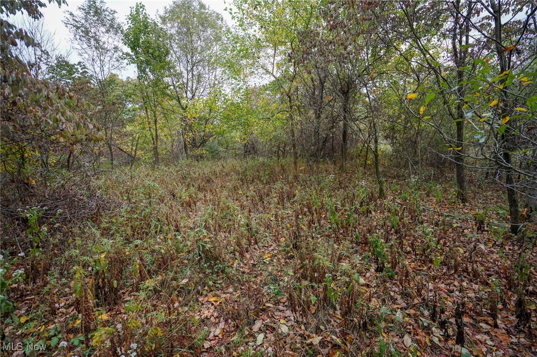 Boy Scout Camp Rd, Caldwell, Ohio image 22