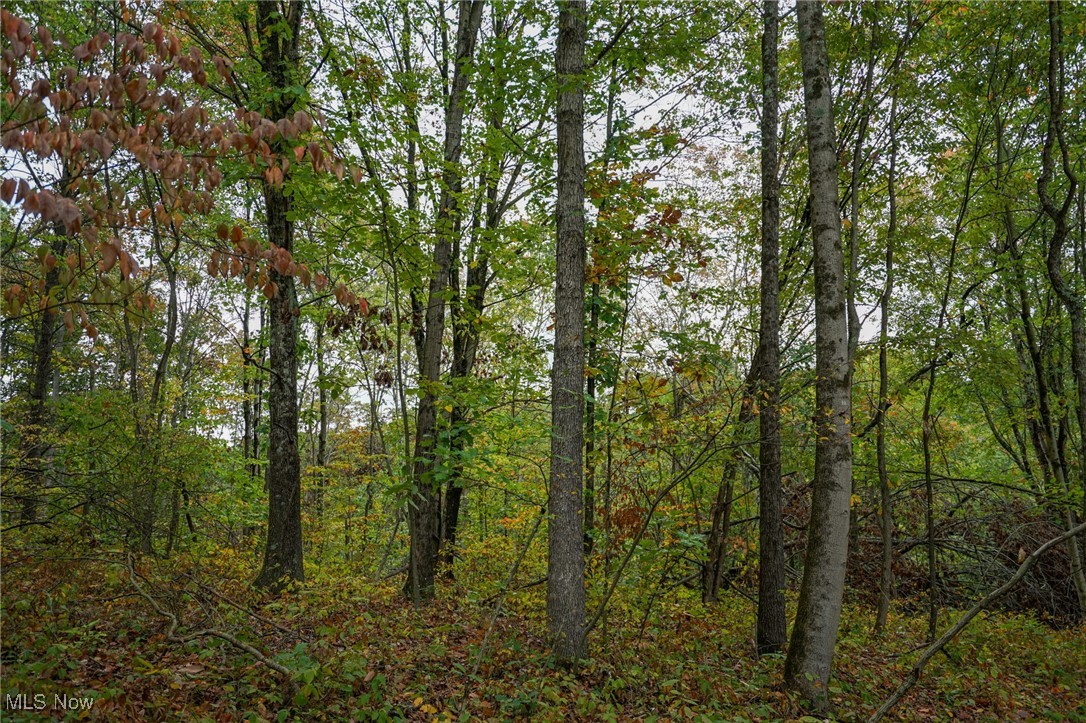 Boy Scout Camp Rd, Caldwell, Ohio image 13