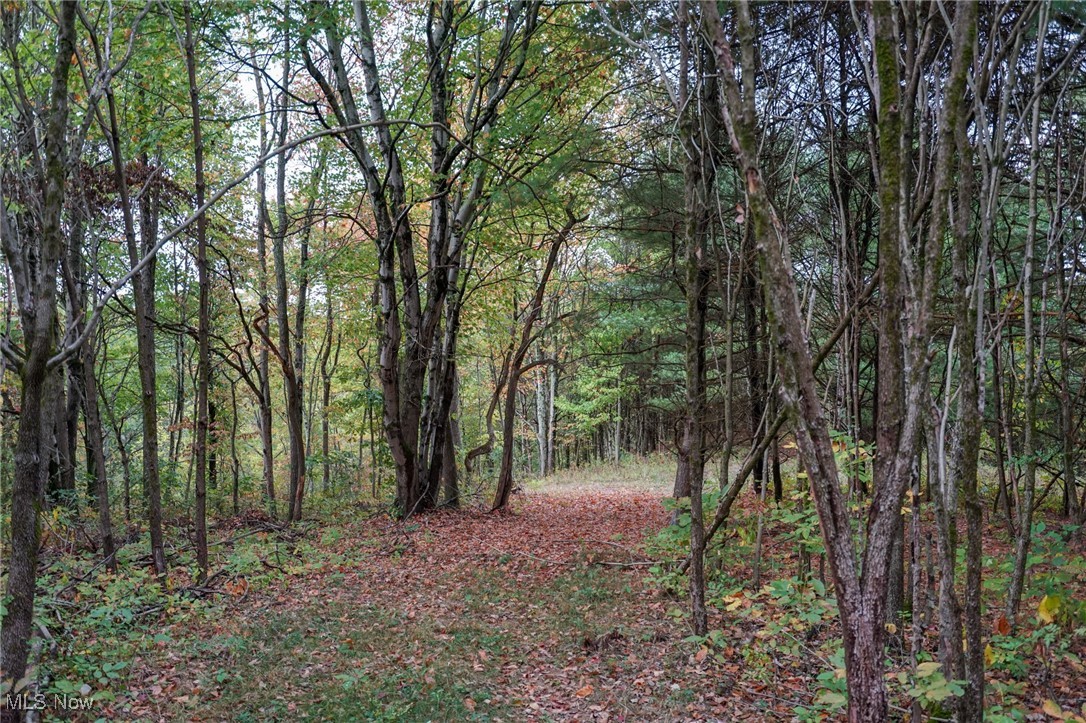 Boy Scout Camp Rd, Caldwell, Ohio image 17