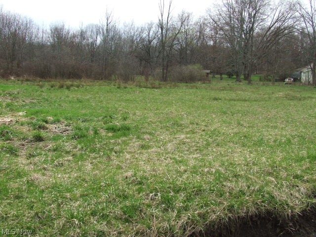 Build your dream home on this spacious Tallmadge lot! .71 Acre lot with large cleared portion. Triangular shaped lot with 226 ft frontage. Sewer and water available to tie into (Tallmadge water dept = approx. $1800 tap in fee required). Buyer responsible to verify all utility availability and cost, and building suitability. Great opportunity to custom build on a large private lot with available city amenities. Come and take a walk around while you imagine the possibilities!