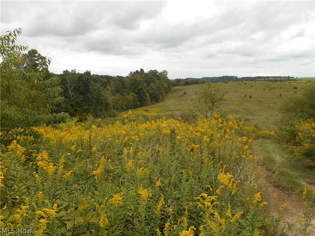 Build your new home on this 15.9 acre country property with plenty of room to ride your ATV or the potential for a great horse property. Call today for details or to walk the property.