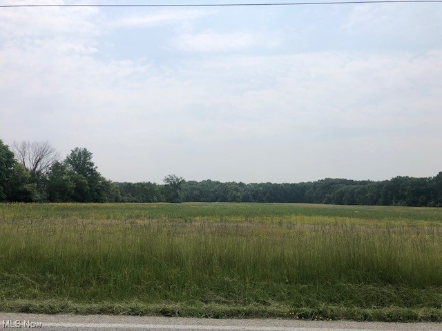 45 Breathtaking acres in Sullivan Twp., Black River School District. Approximately 18 acres of woods and 27 tillable acres. With 836 feet of frontage, this property could be developed, divided or turned into your own private paradise to enjoy. The possibilities are endless! Rural Lorain County Water is available at the road with a tap fee