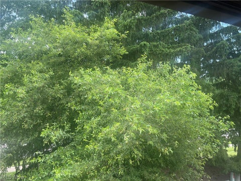 Tiny photo for 474 Terrell Court, Richmond Heights, OH 44143 (MLS # 5216591)