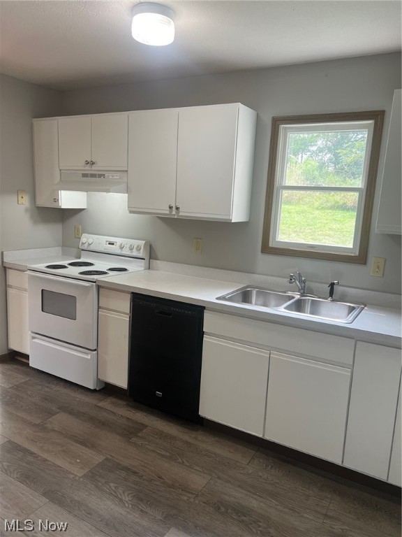 North Park Condo Ph 01 - Residential