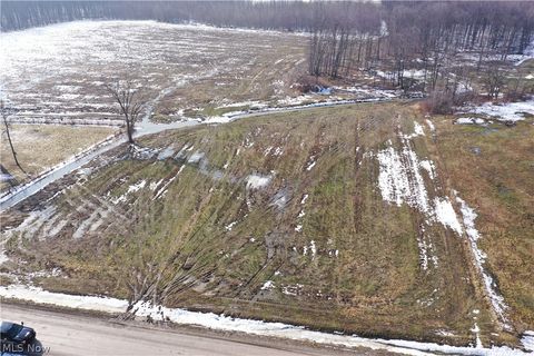 Vacant Land For Sale - Adams Road<br/> Kingsville, OH 44048