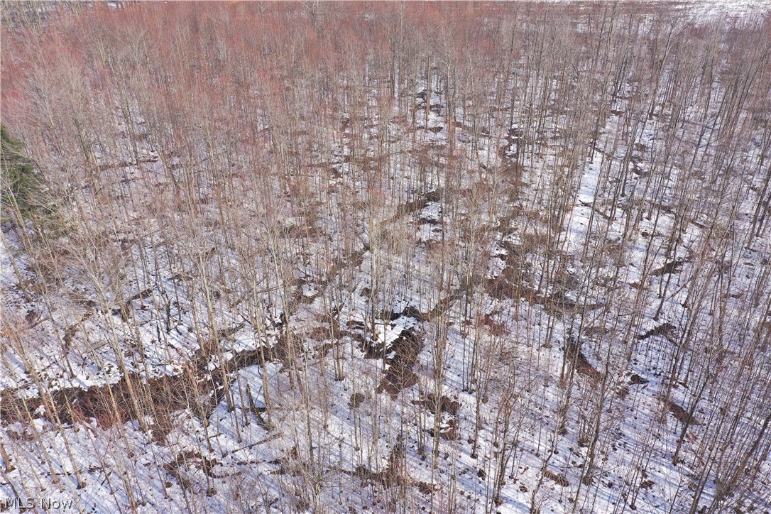 Connecticut Western Reserve - Land